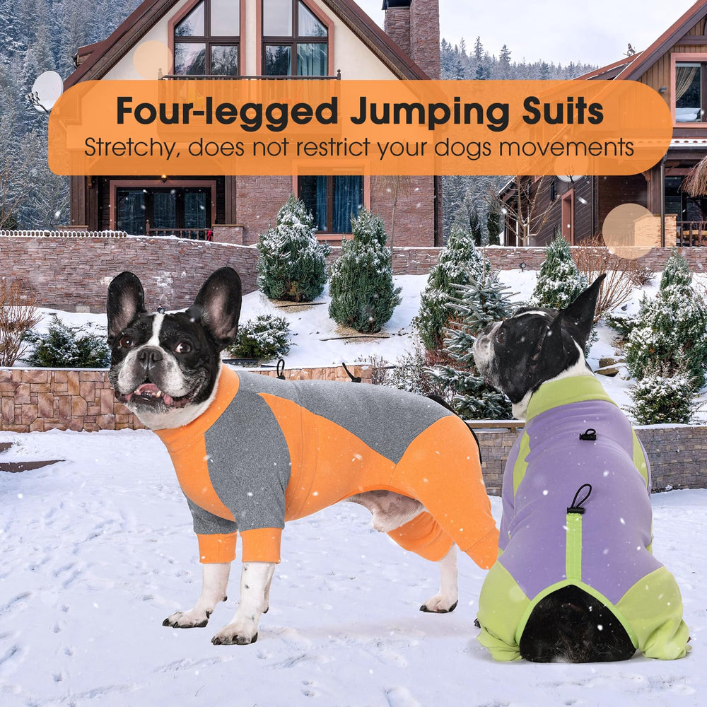 AITOLI dog winter coat size range from XS to 2XL suits many small breeds