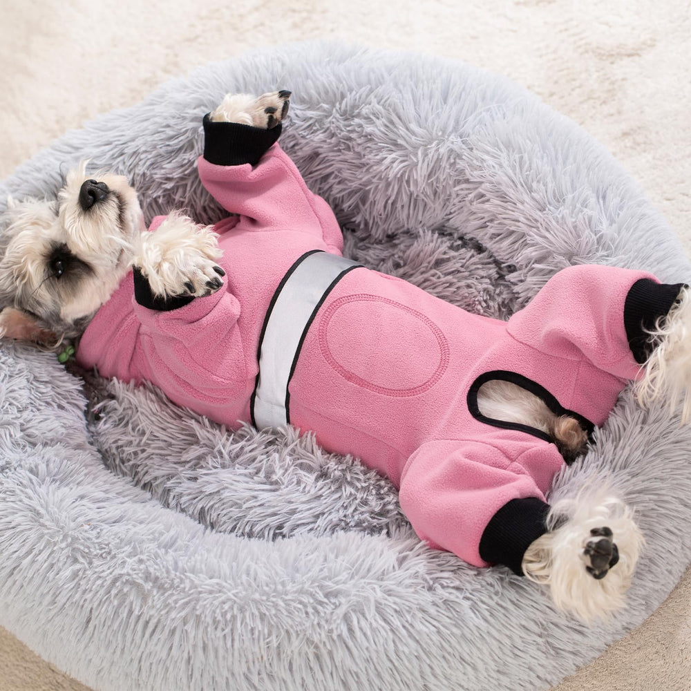 AITOLI fleece jacket suits many small breeds for cozy winter wear