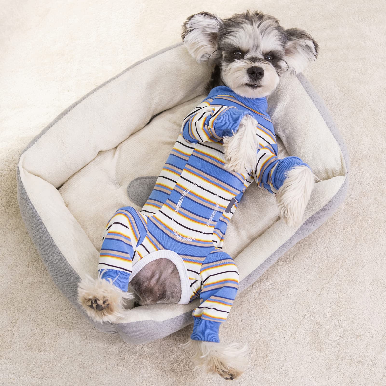 AITOLI long-sleeve-dog-onesie-on-puppy demonstrates hair coverage and tidy living space