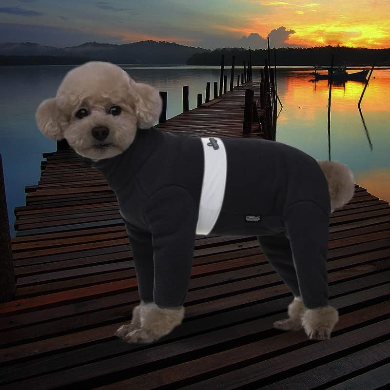 AITOLI Polar Fleece Dog Pajamas worn during winter walk for wind protection.