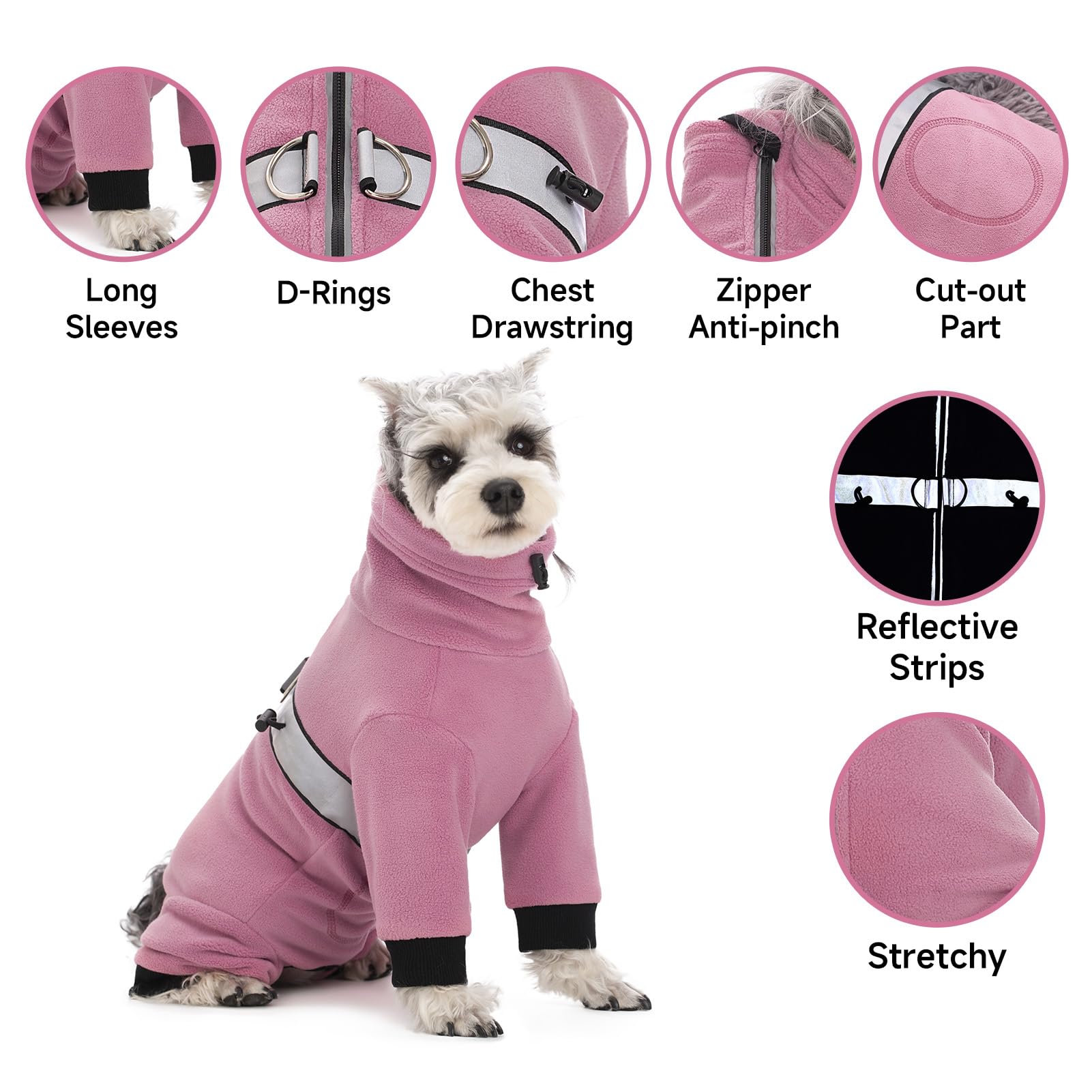 AITOLI small dog winter coat ideal for daily walks, photos, and indoor lounging