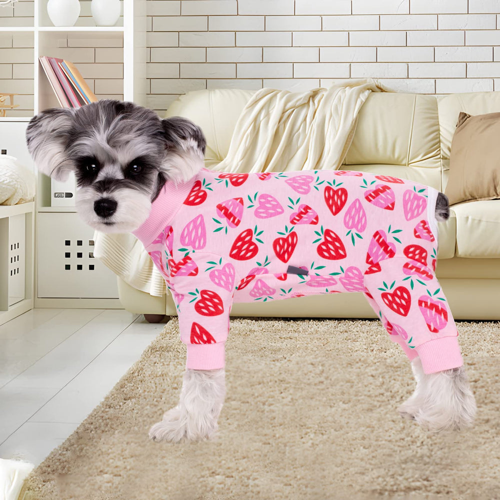 AITOLI dog recovery suit back zipper focus for easy on and off.