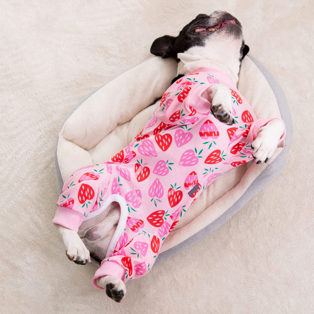 AITOLI recovery suit keeps dogs comfortable indoors or outdoors during recovery.