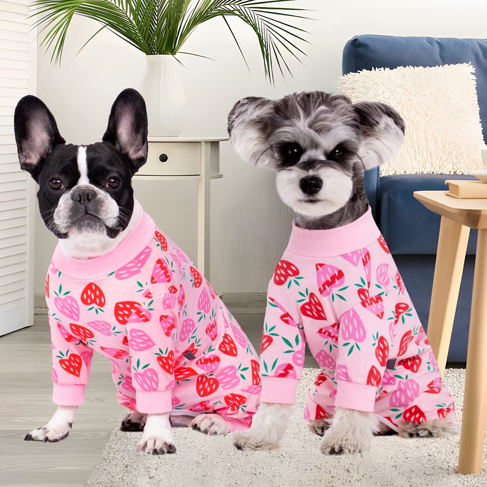 AITOLI long sleeve dog onesie demonstrates full coverage to prevent hair spread and protect wounds.