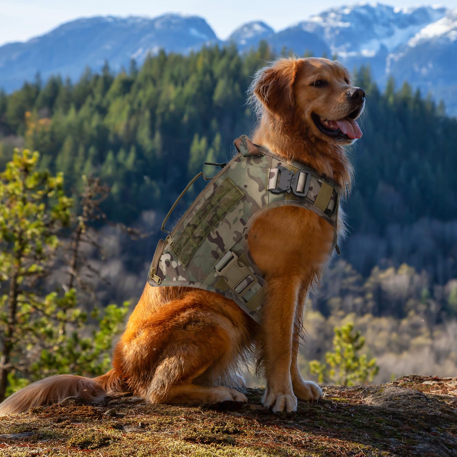 AIWAI Tactical Dog Backpack Harness XL size chart helps correct fit