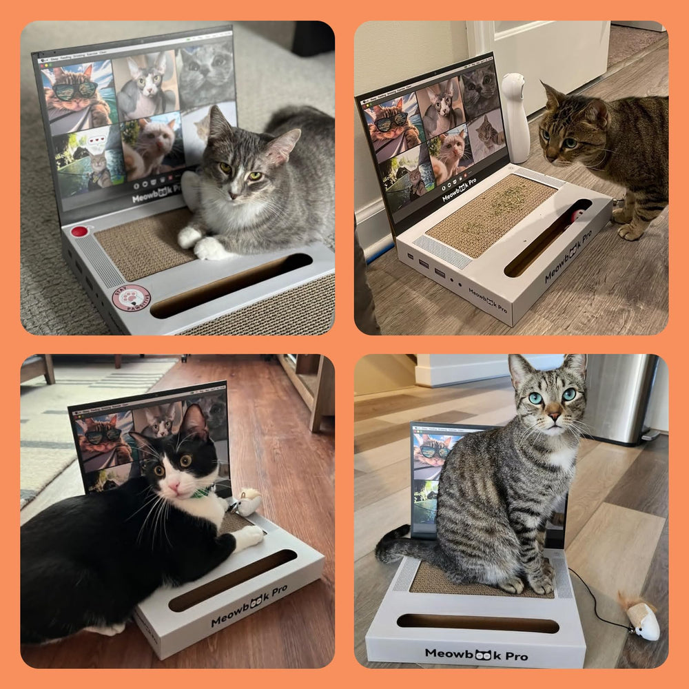 AIWEILUCK Cat Scratcher dimensions 12.6 x 11.6 x 1.85 inches.