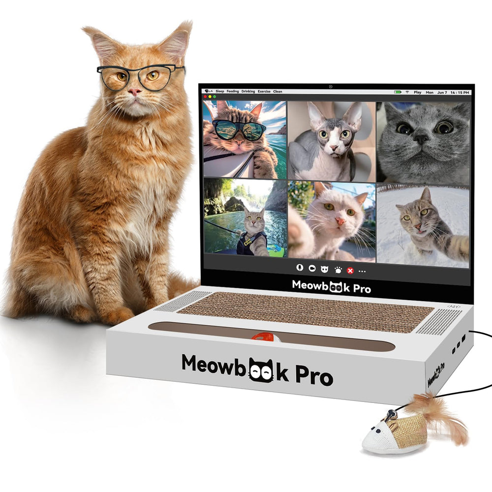 AIWEILUCK Cat Scratcher Laptop Toy featuring mouse for interactive play and stress relief.