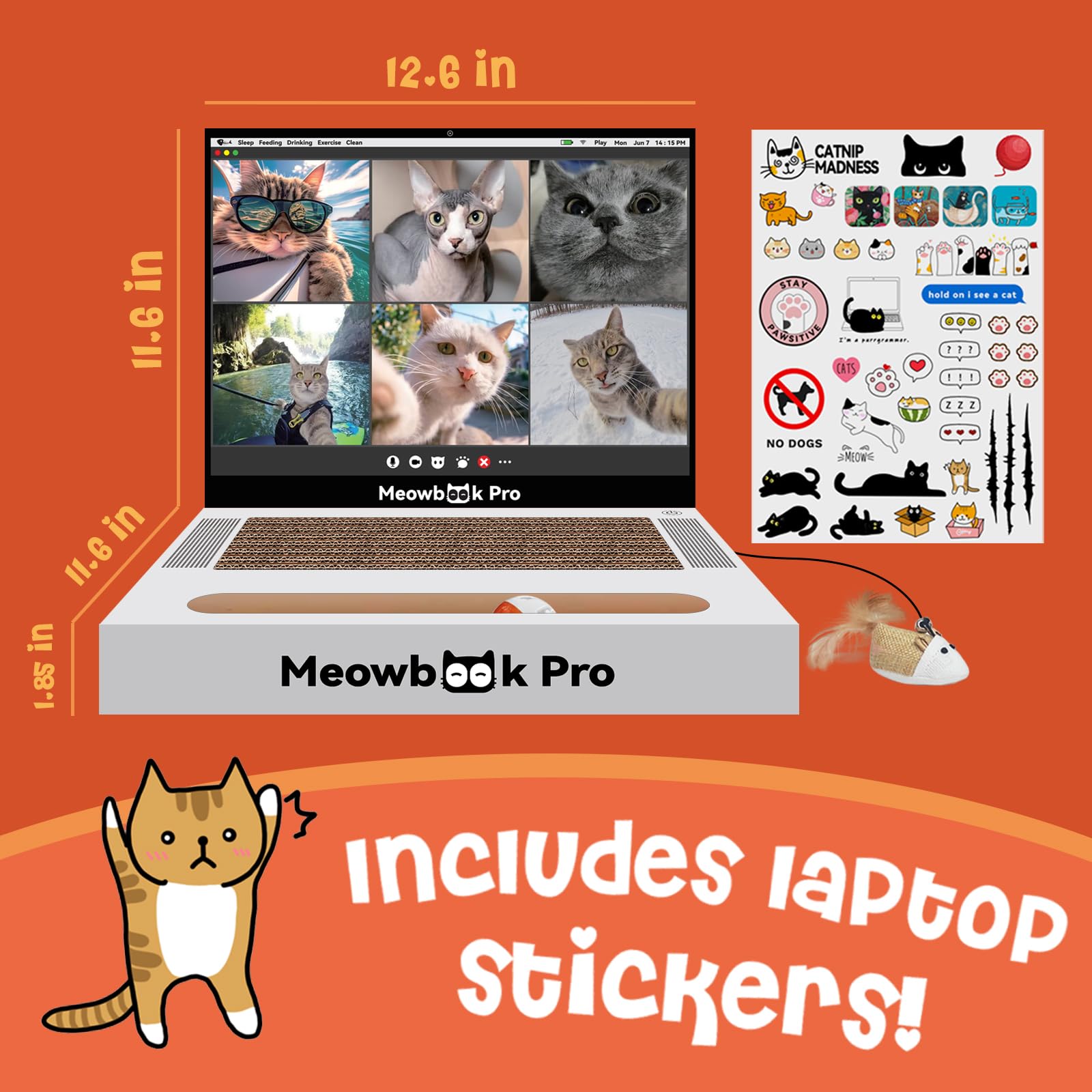 AIWEILUCK Cat Scratcher mouse toy encourages active play and hunting instincts.