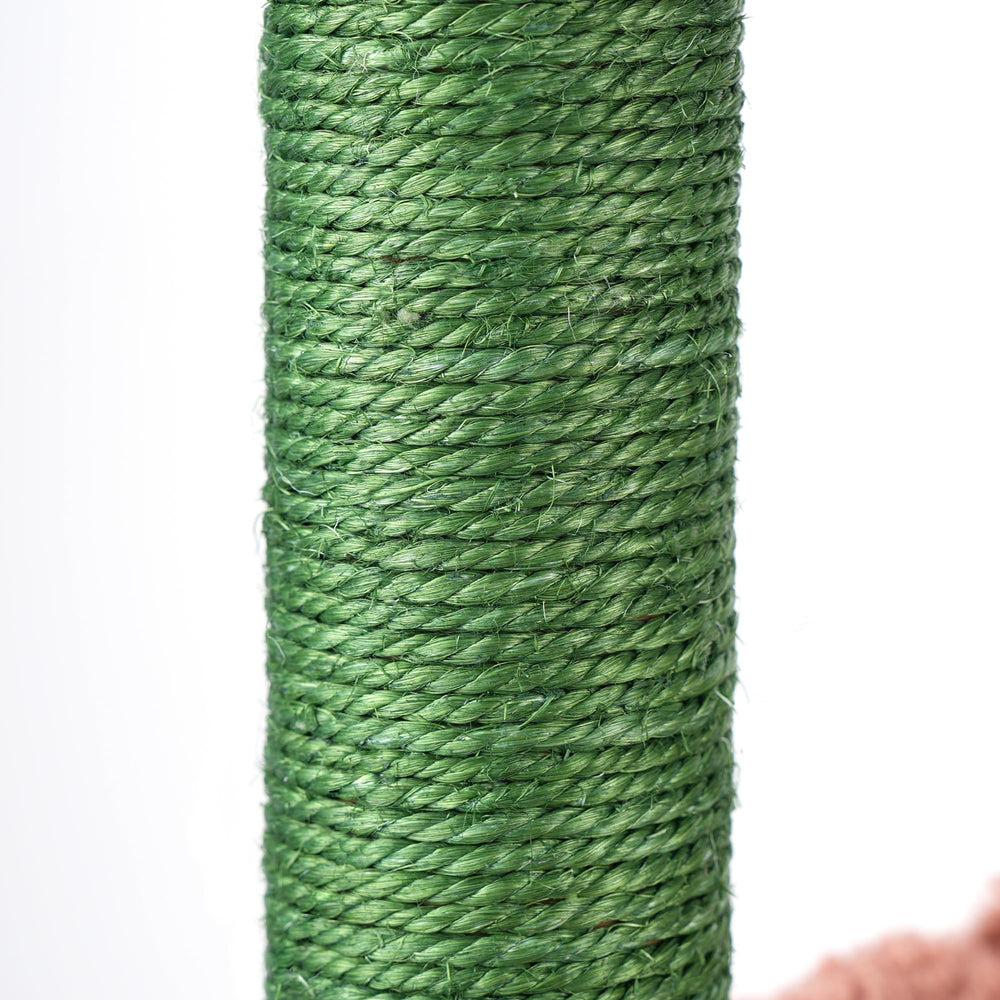 AIWIKIDE cactus cat tree cozy perch and hammock offer lounging spots