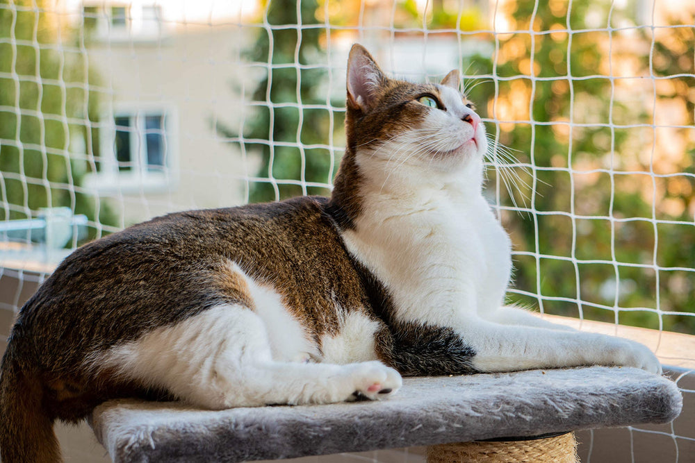 AIYGO cat balcony netting close-up nylon shows durable weatherproof mesh for safe outdoor use