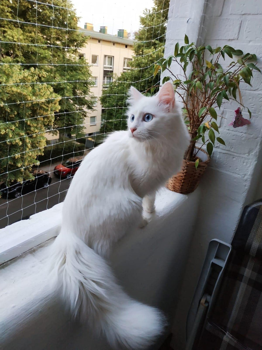 AIYGO cat balcony netting outdoor protection against falls and dropped items