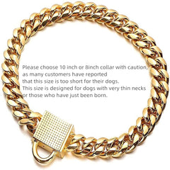 AIYIDI gold dog collar CZ diamonds details sparkle with luxury.