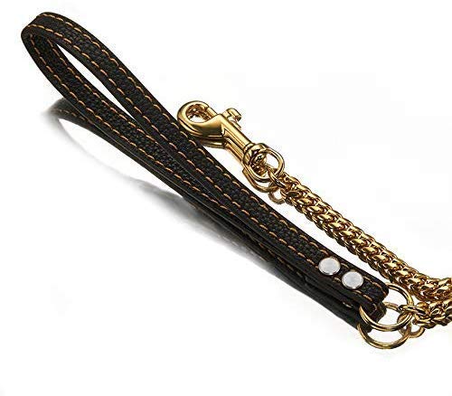 AIYIDI 5ft total length suited for longer-range walks.