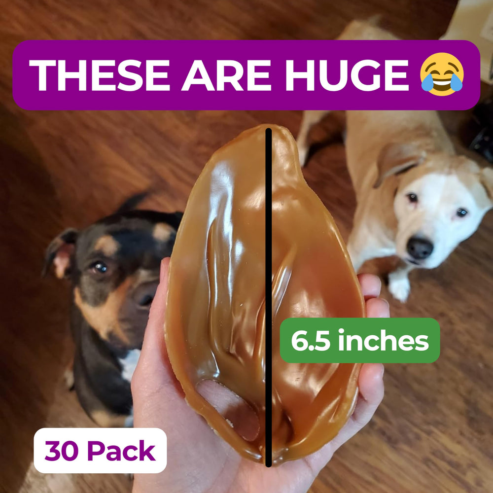 AJA Dentachews peanut butter close-up showing flavor dogs crave and chewy texture.