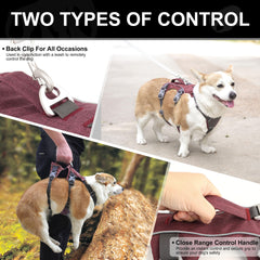 AKAILEA back D-ring attachment on harness enables reliable leash control