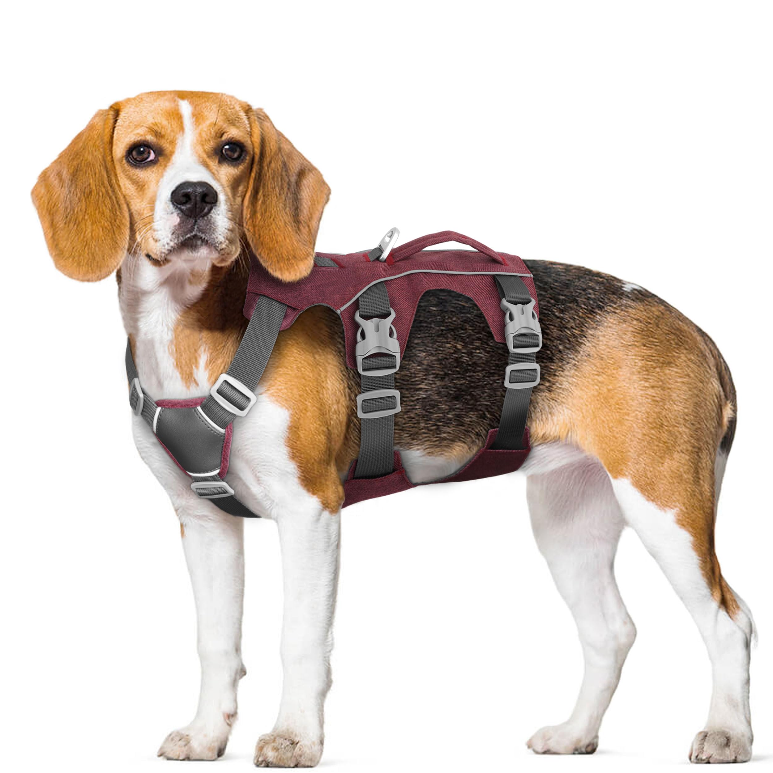 AKAILEA chest measurement guide image helps correct harness fit