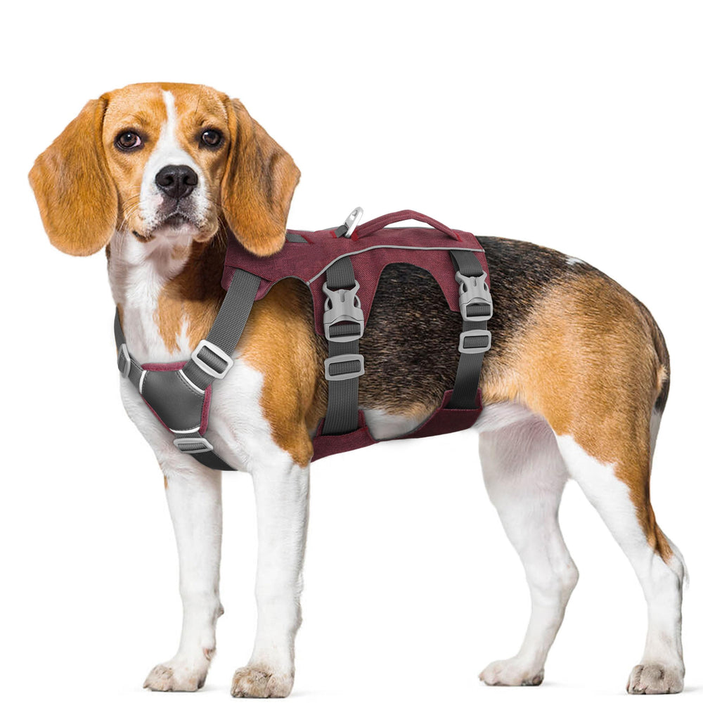 AKAILEA chest measurement guide image helps correct harness fit