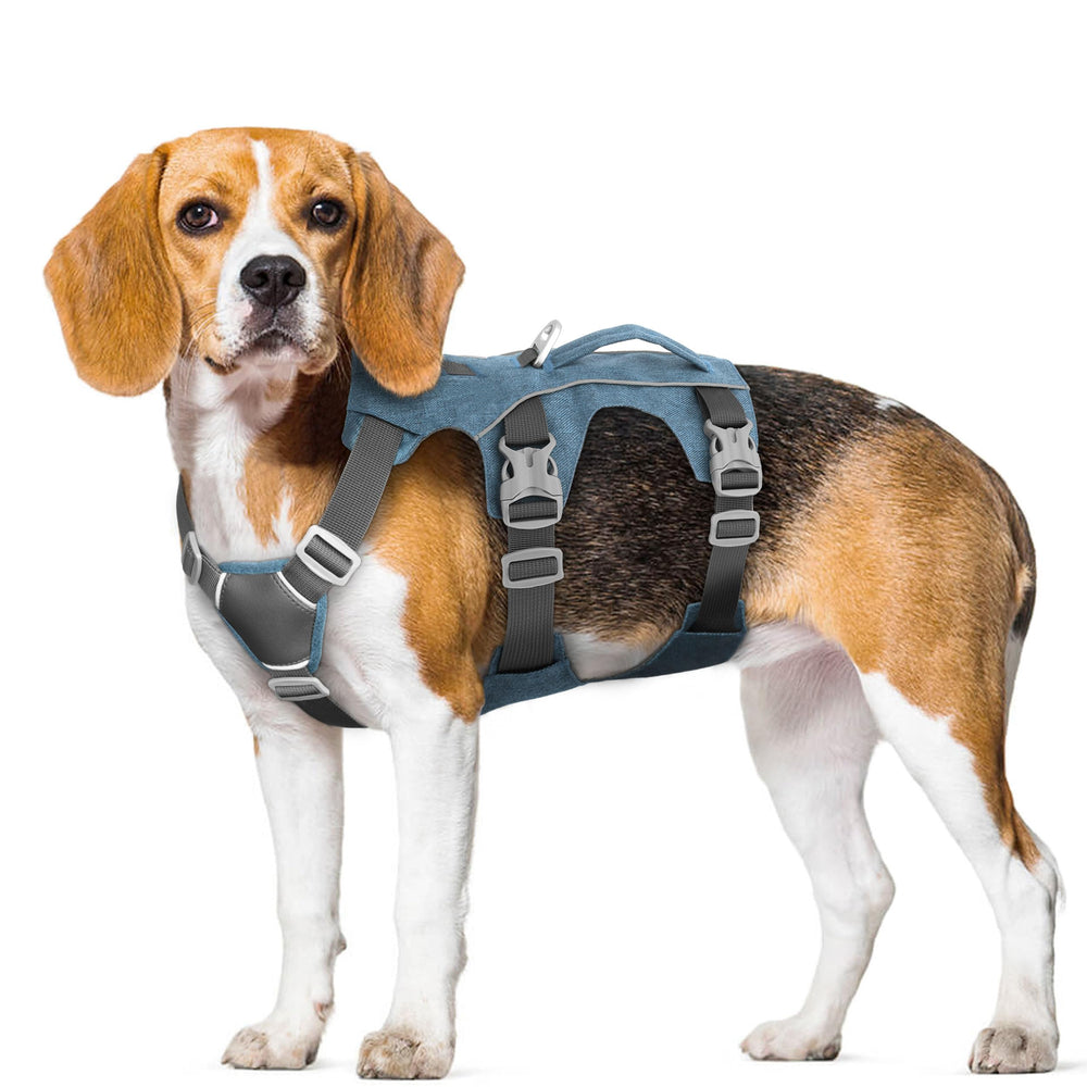 AKAILEA dog wearing harness size guide image helps accurate chest measurements