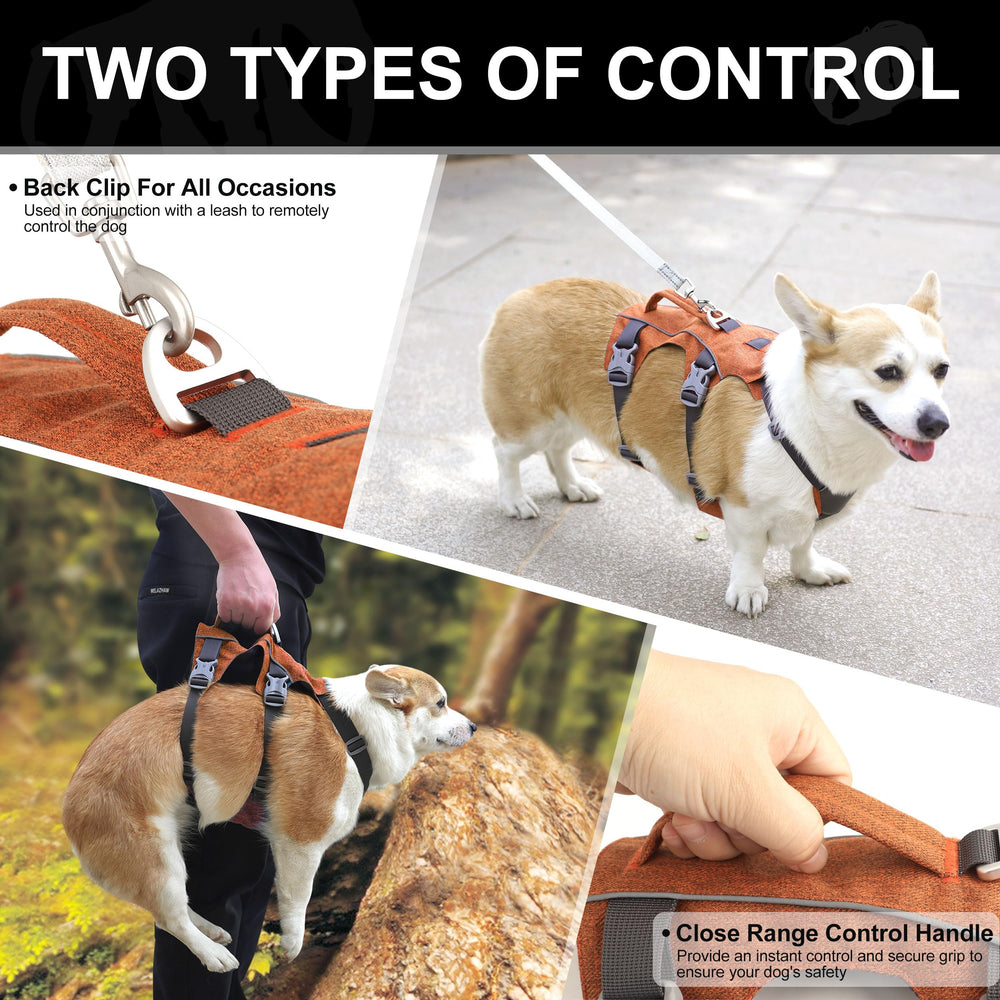 AKAILEA escape-proof dog harness back D-ring highlights durable leash attachment.