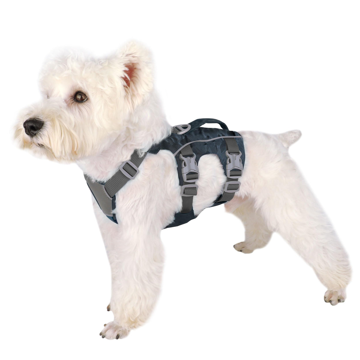 AKAILEA Escape Proof Harness front view with secure fit for daily walks