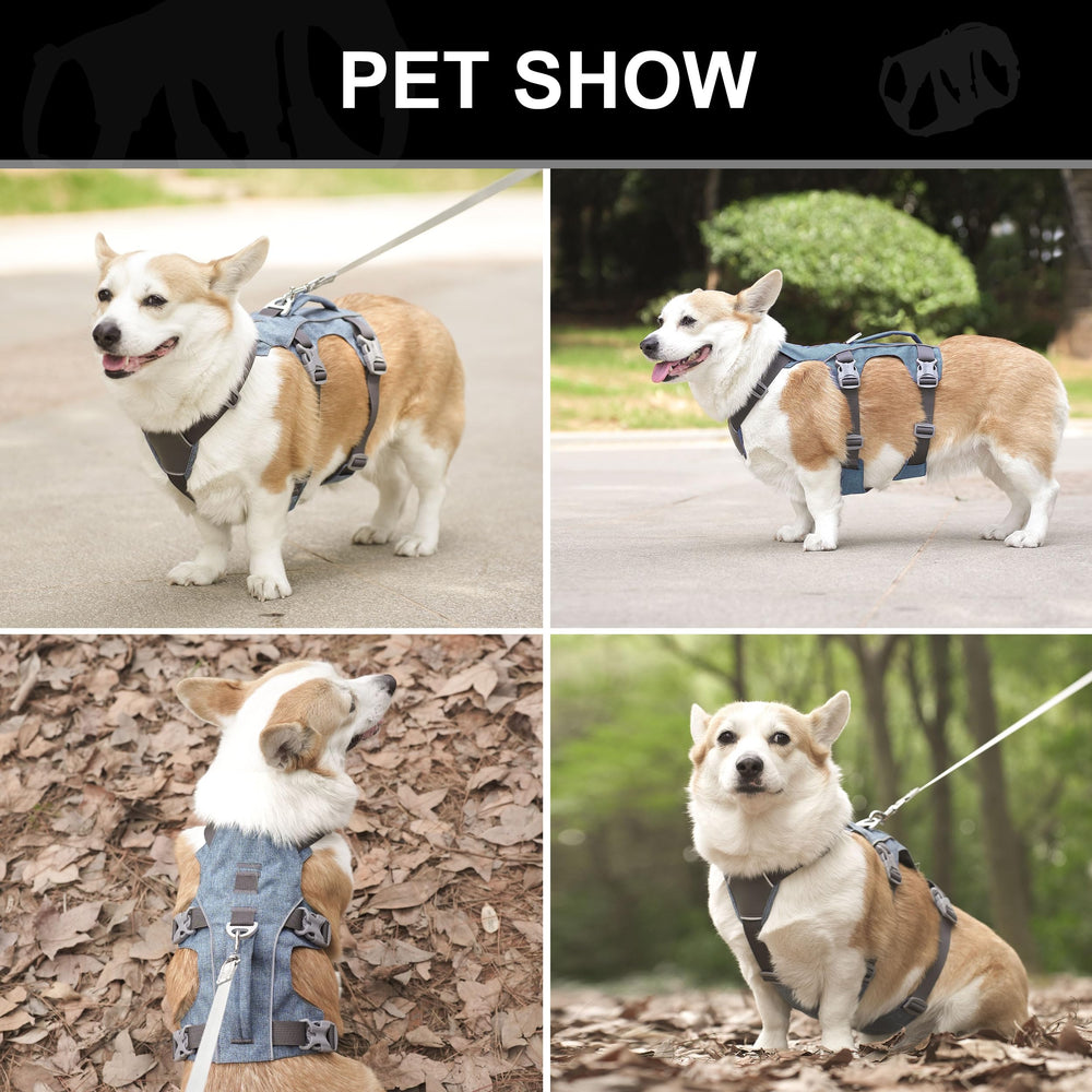 AKAILEA harness with metal D-ring for durable leash connection