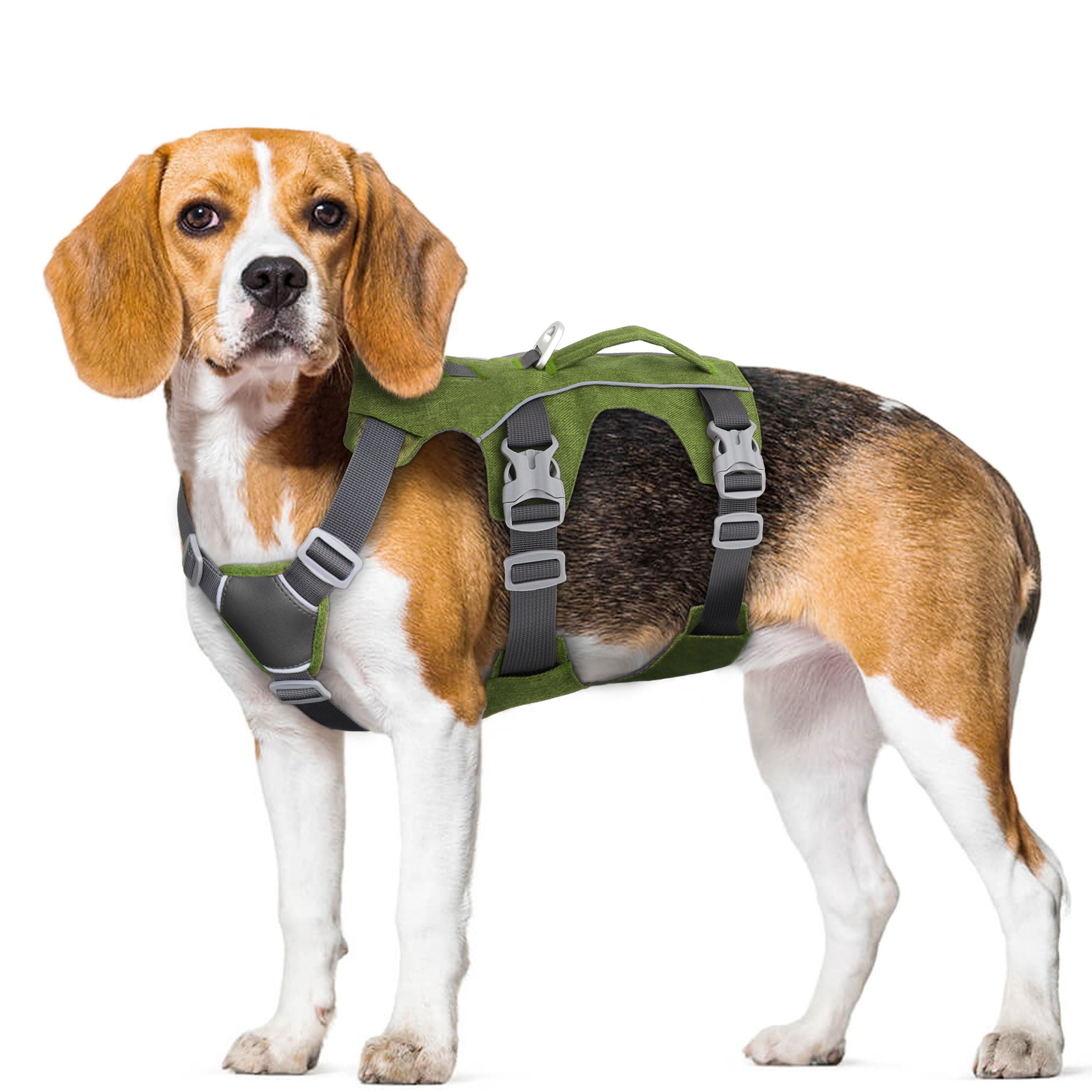 AKAILEA lightweight full-body harness image supports comfortable daily wear and movement.