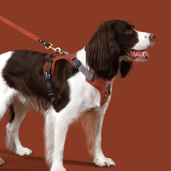 AKAILEA harness with PU leather and mesh padding brown provides breathable comfort on daily walks.