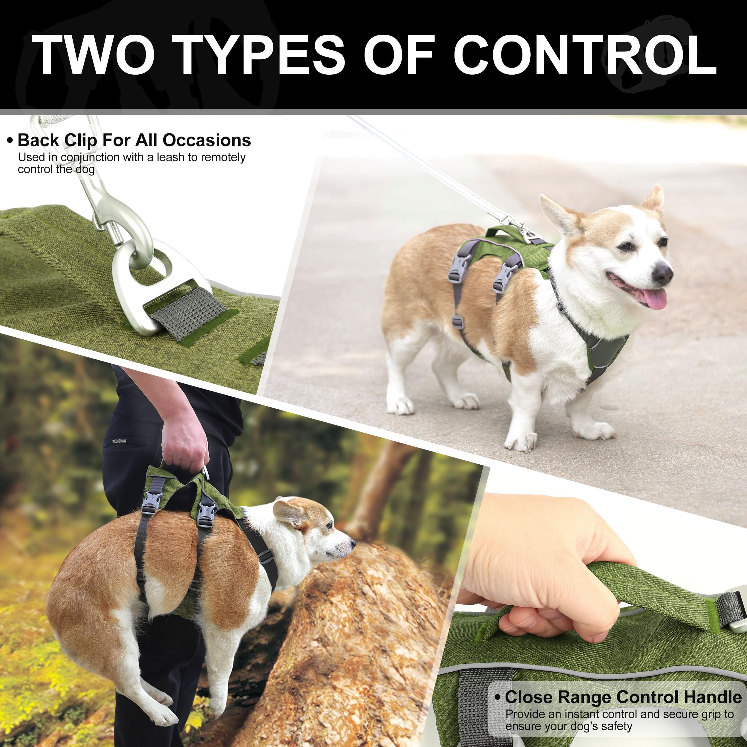AKAILEA reflective design image boosts visibility during nighttime dog walks.
