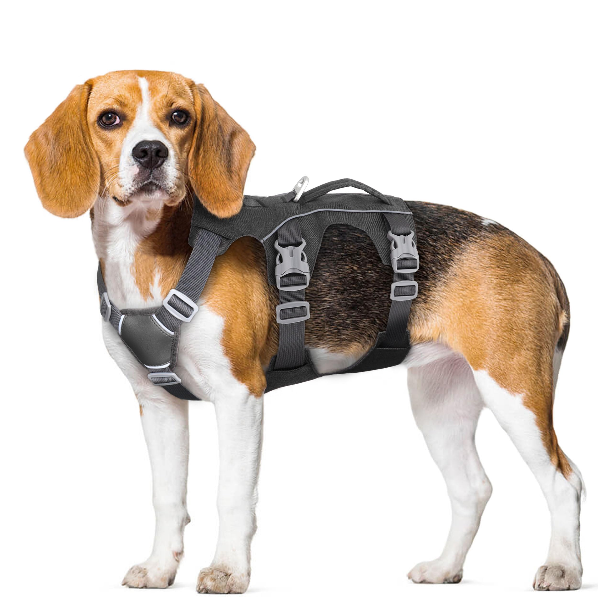 AKAILEA petite-dog-friendly design supports safe walks for small breeds.