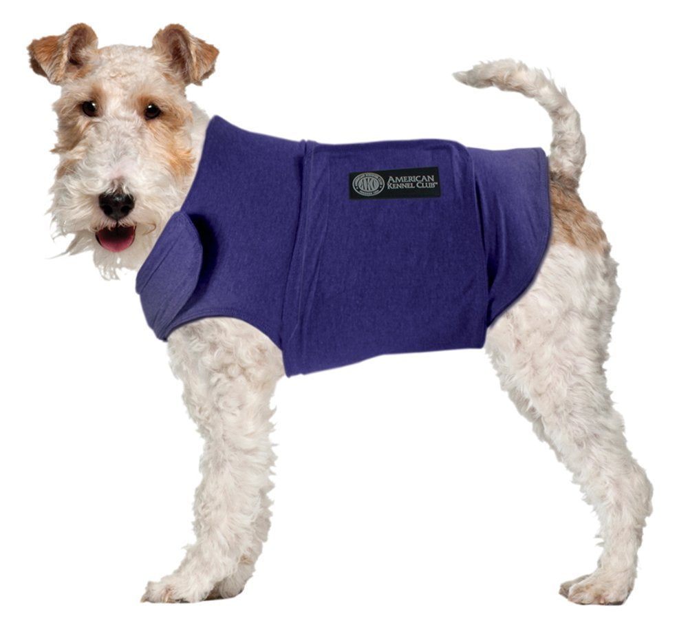 AKC Calm Coat blue small worn by a dog on a walk for calmer moments.