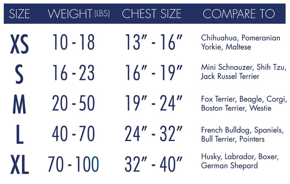 AKC Calm Coat blue small on dog with easy fastening for quick on/off.
