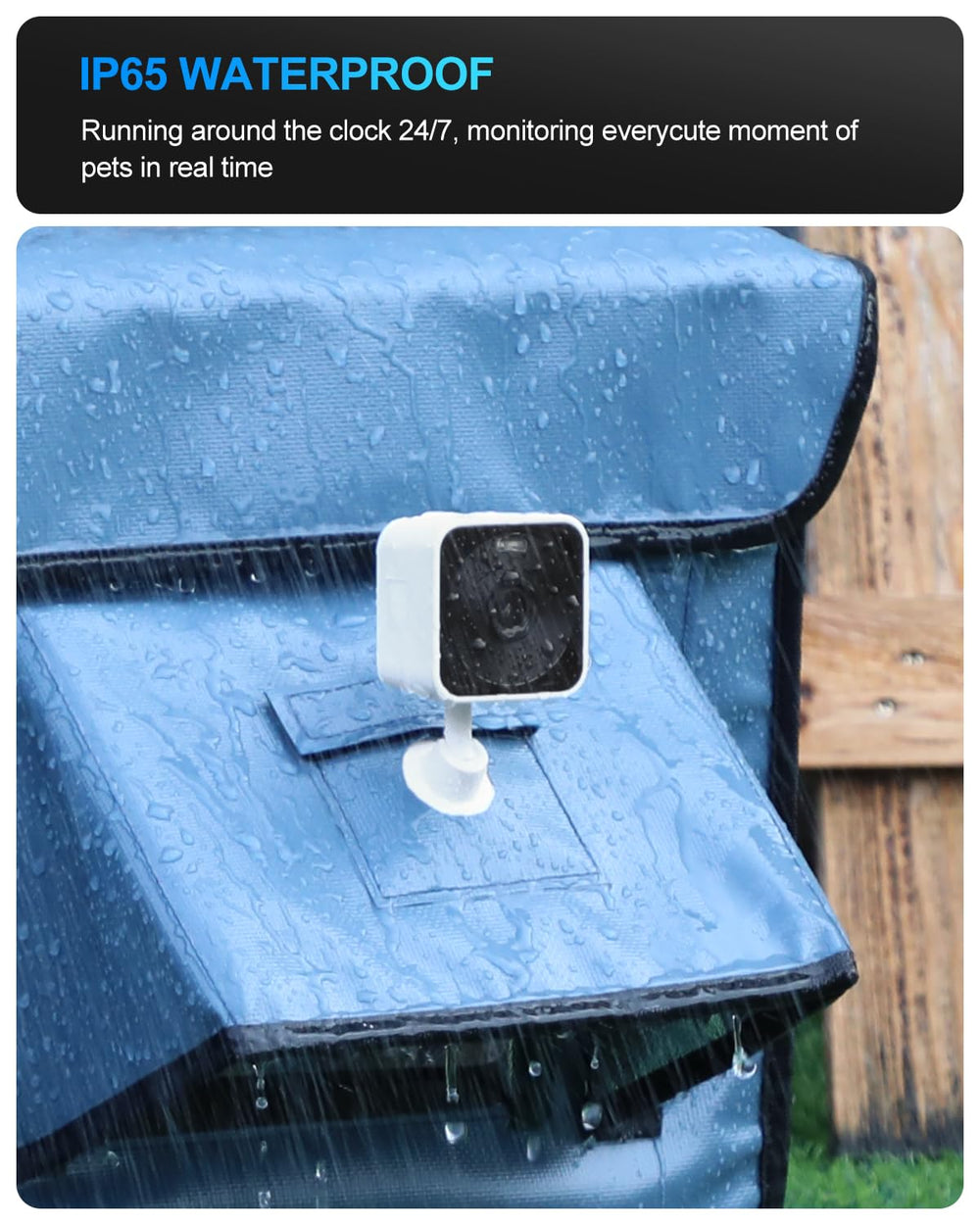 Akentio Pet Camera 2k night vision shows clear details in low light conditions