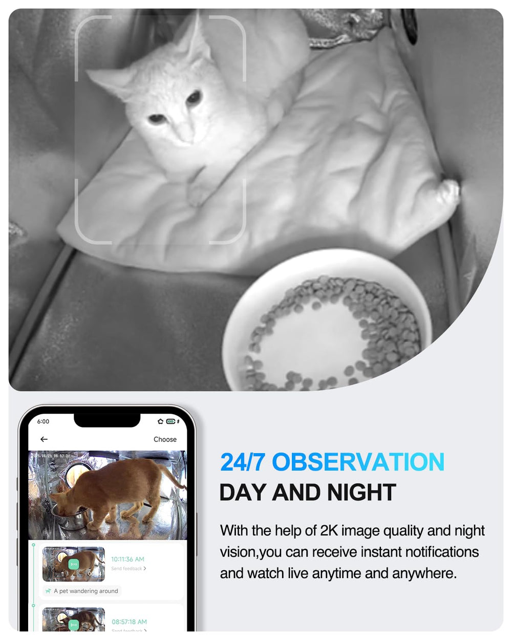 Akentio Pet Camera two-way audio enables remote conversation with your cat via app