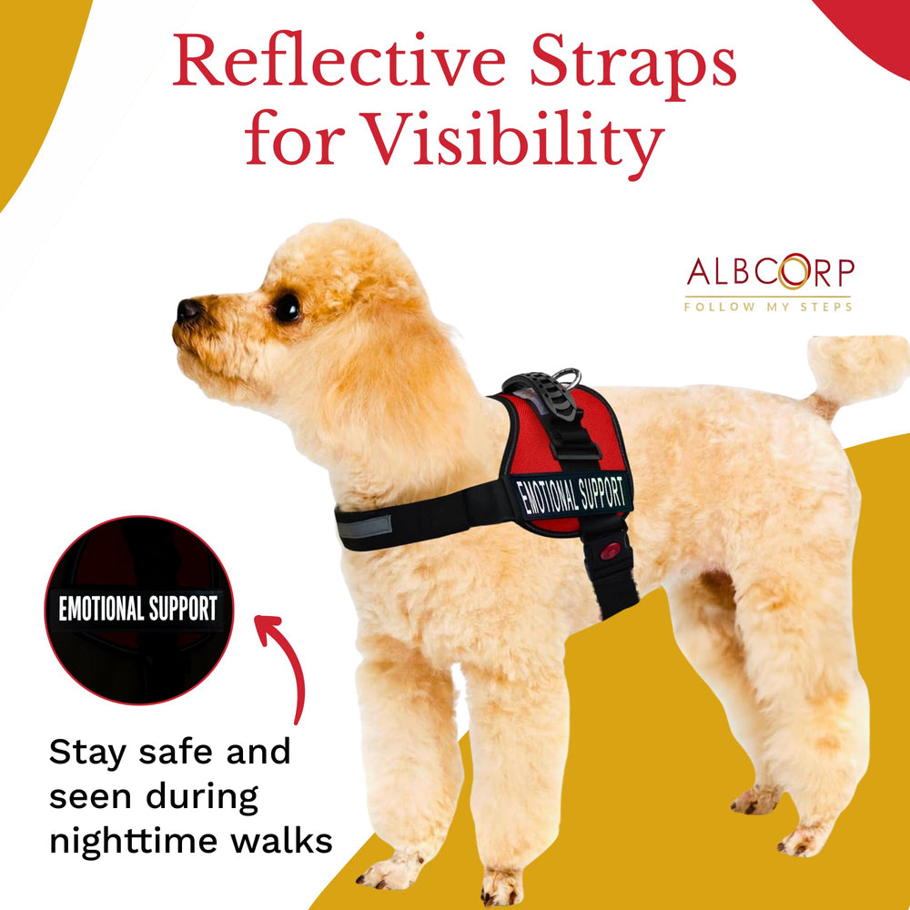 ALBCORP breathable mesh-padding reduces rubbing for comfortable all-day wear