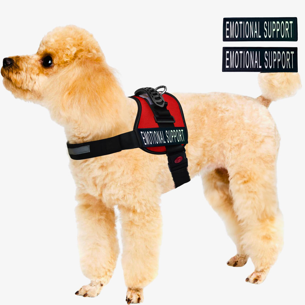 ALBCORP vest patches included for easy identification and quick customization