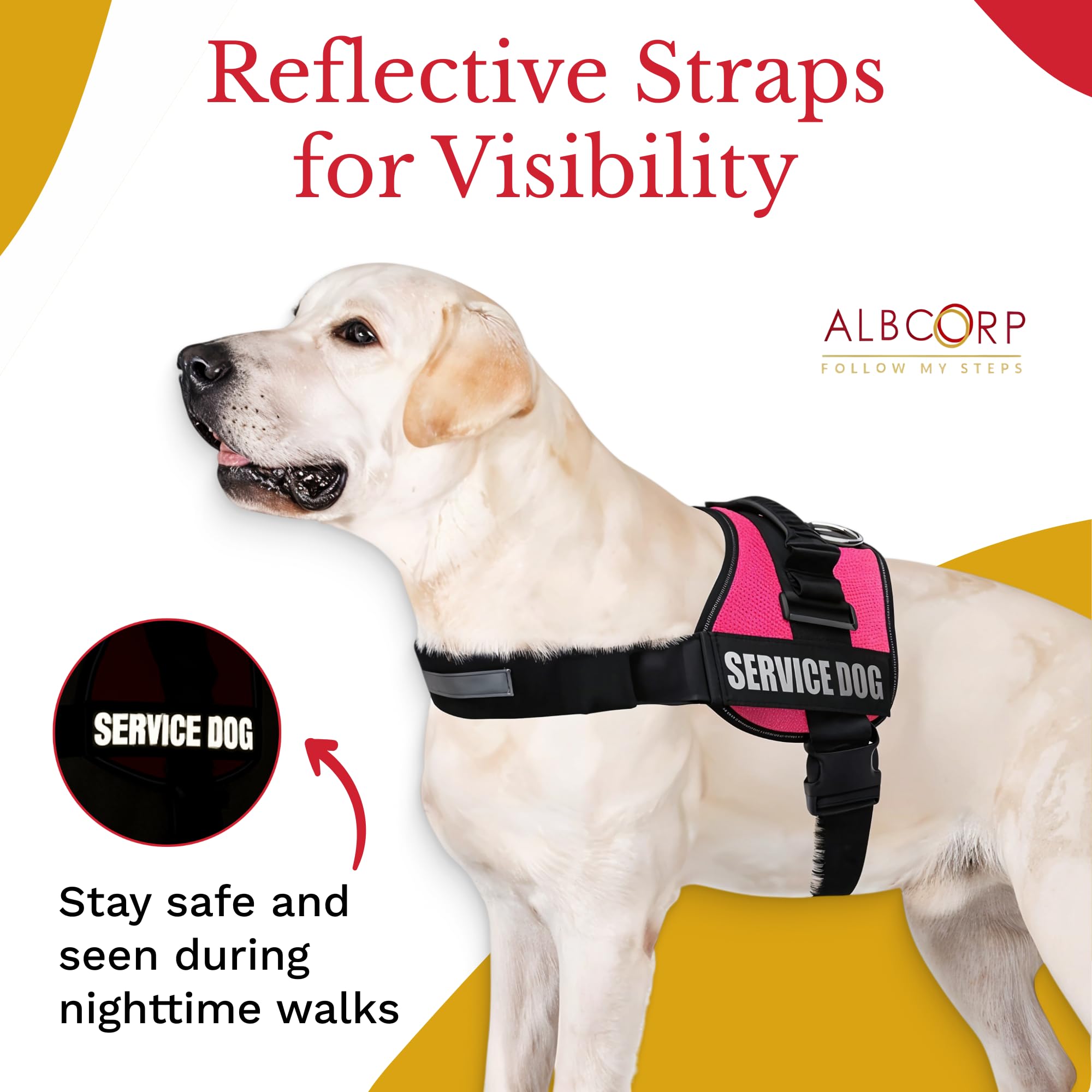 ALBCORP D-ring and reinforced handle provide secure control during outings.