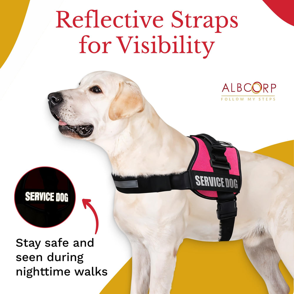 ALBCORP D-ring and reinforced handle provide secure control during outings.