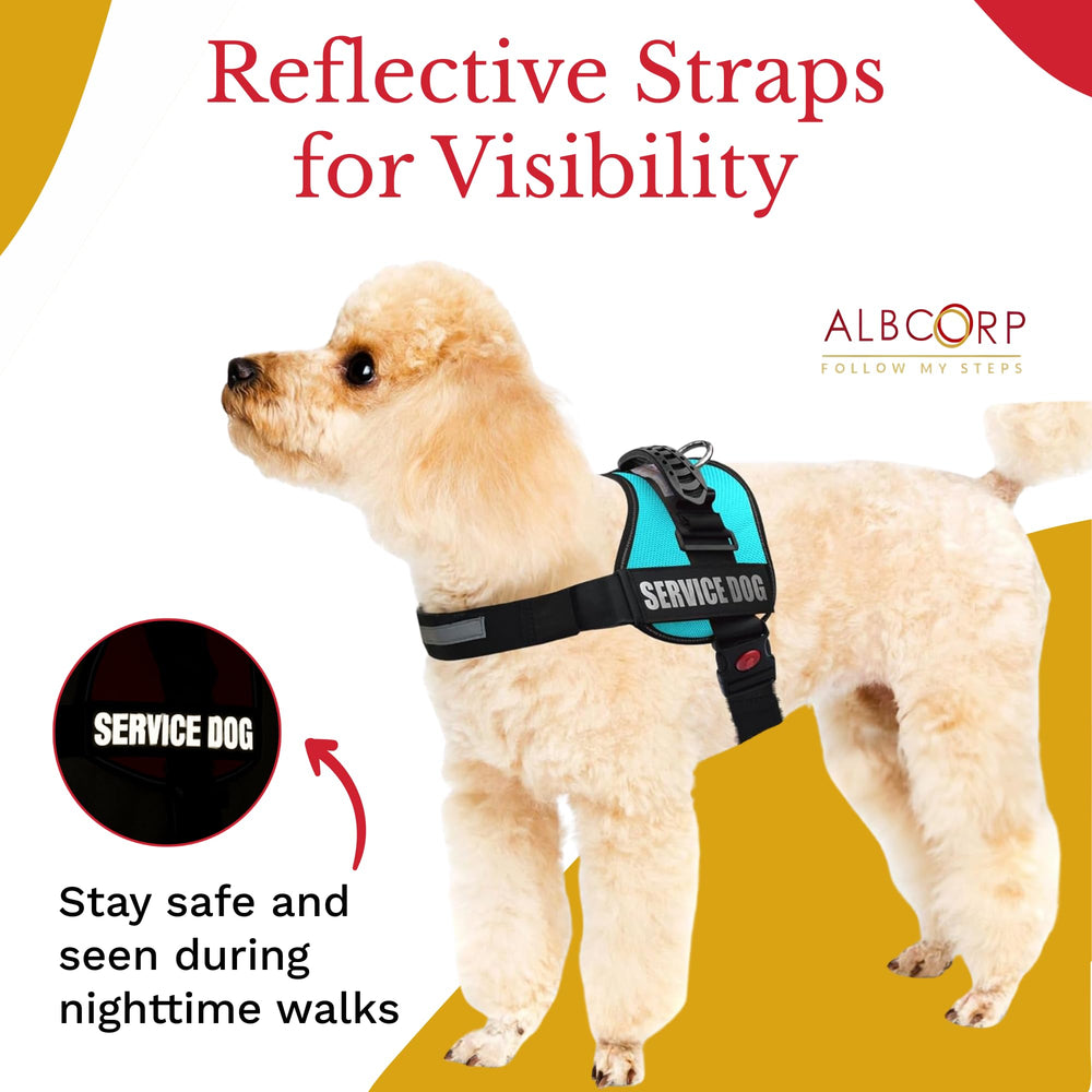 ALBCORP adjustable chest and belly straps for a snug fit