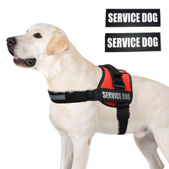 ALBCORP service dog vest harness with handle enables secure control in public.