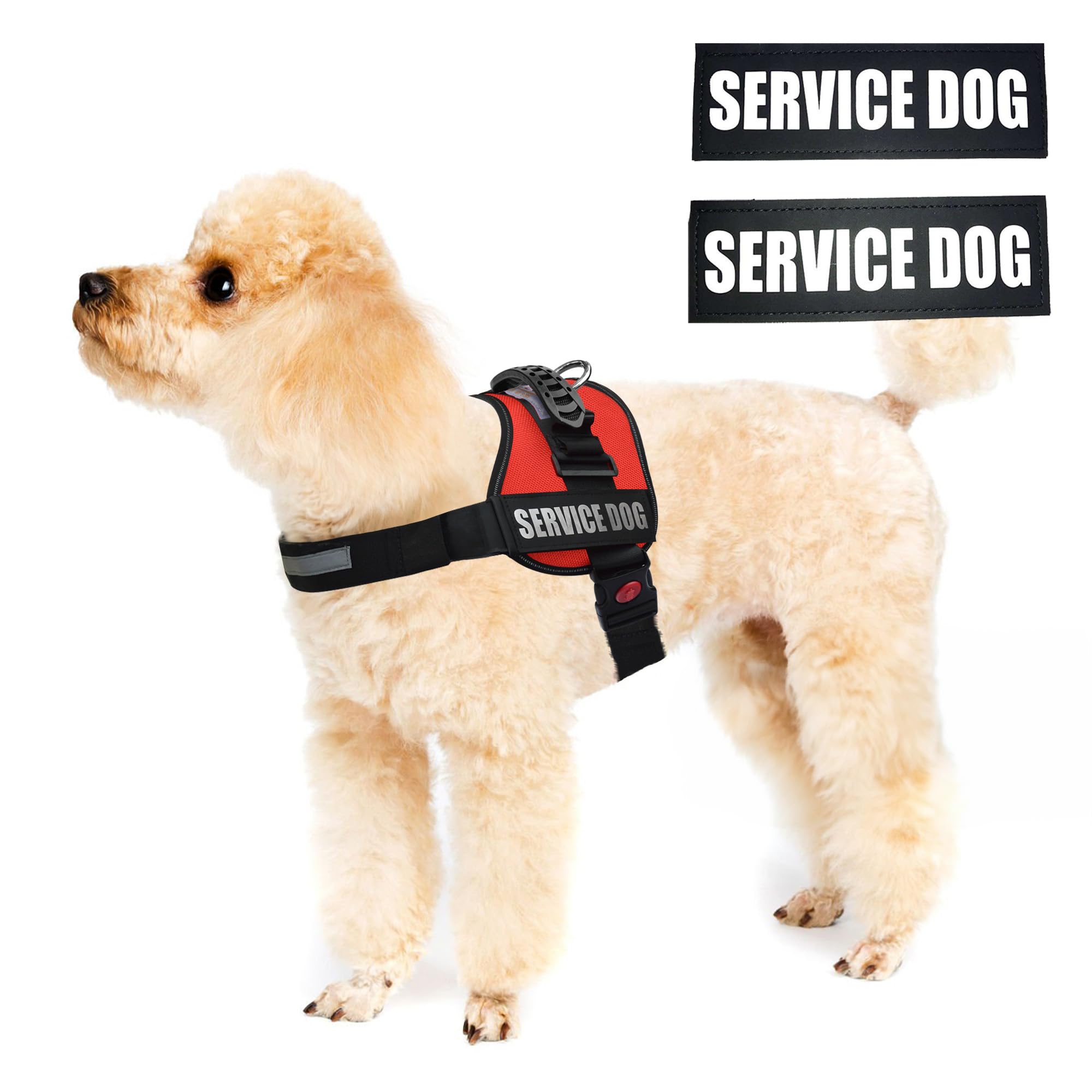 ALBCORP service dog vest harness stainless-steel D-ring for reliable leash attachment.