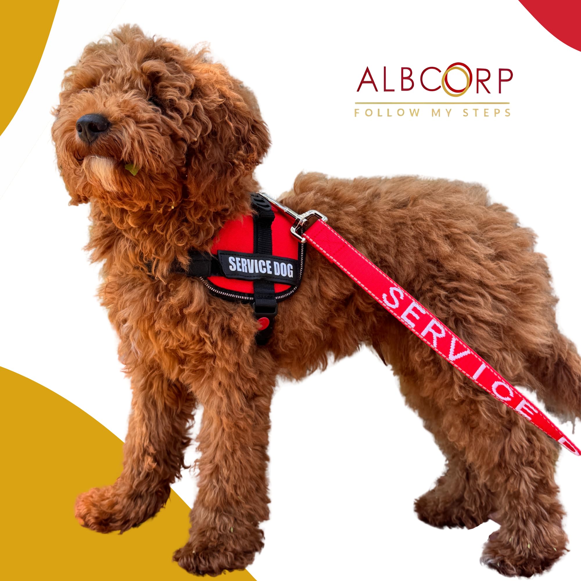 ALBCORP includes two removable patches for role customization