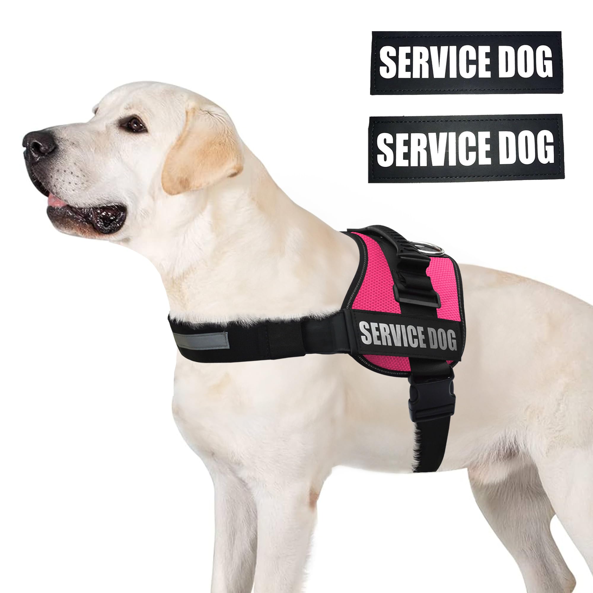 ALBCORP vest with reflective stitching enhances safety in low light conditions.