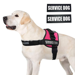 ALBCORP vest with reflective stitching enhances safety in low light conditions.