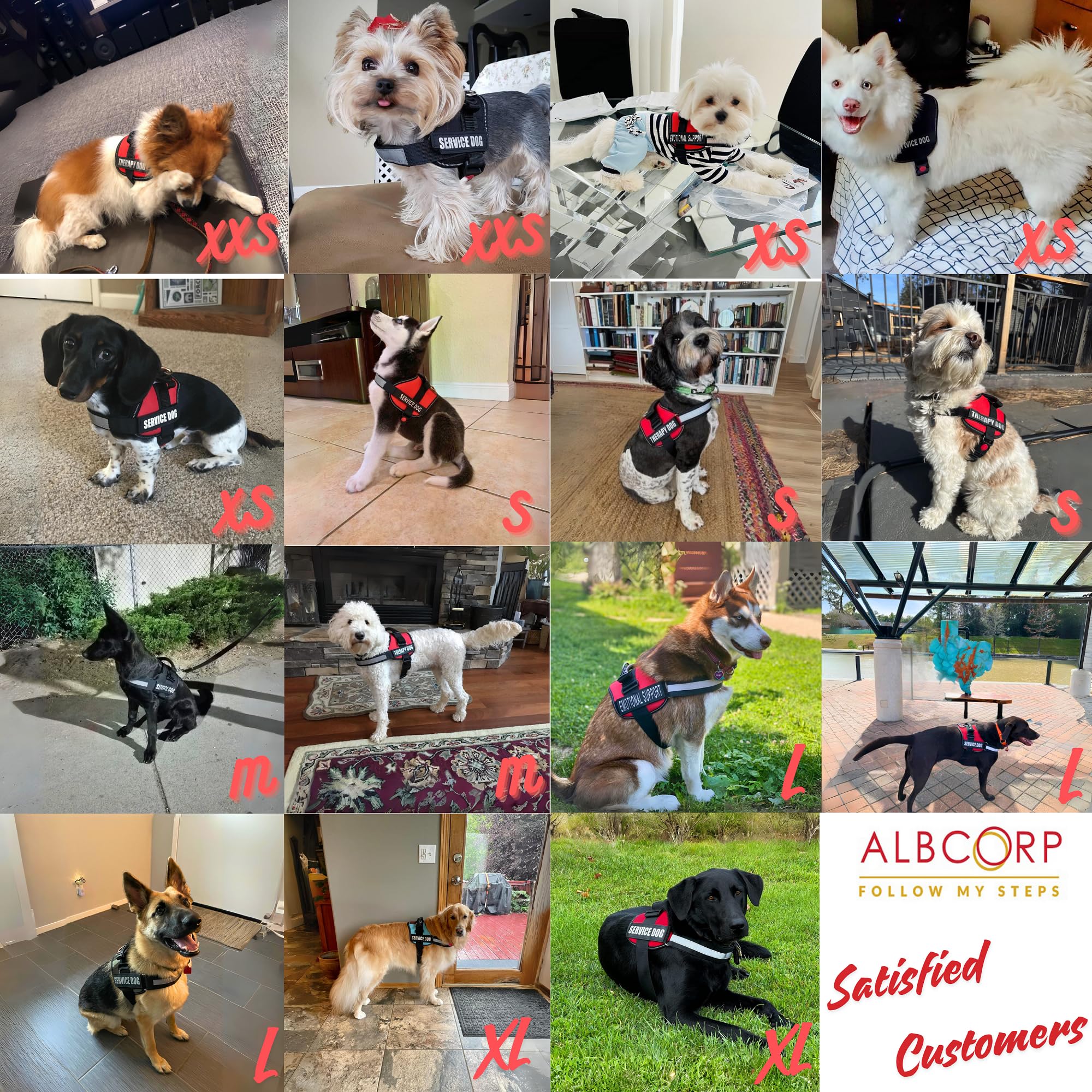 ALBCORP removable service patches showcase quick role customization options.