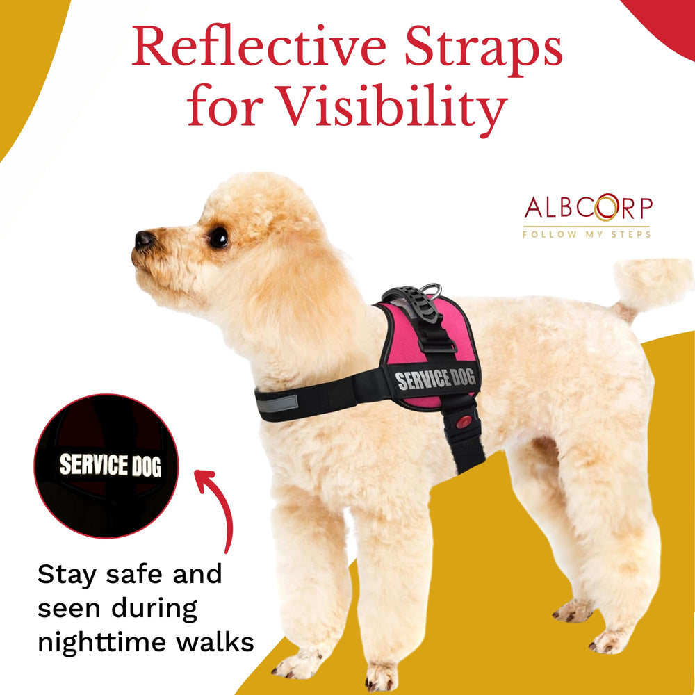ALBCORP vest with stainless-steel D-ring for reliable leash attachment