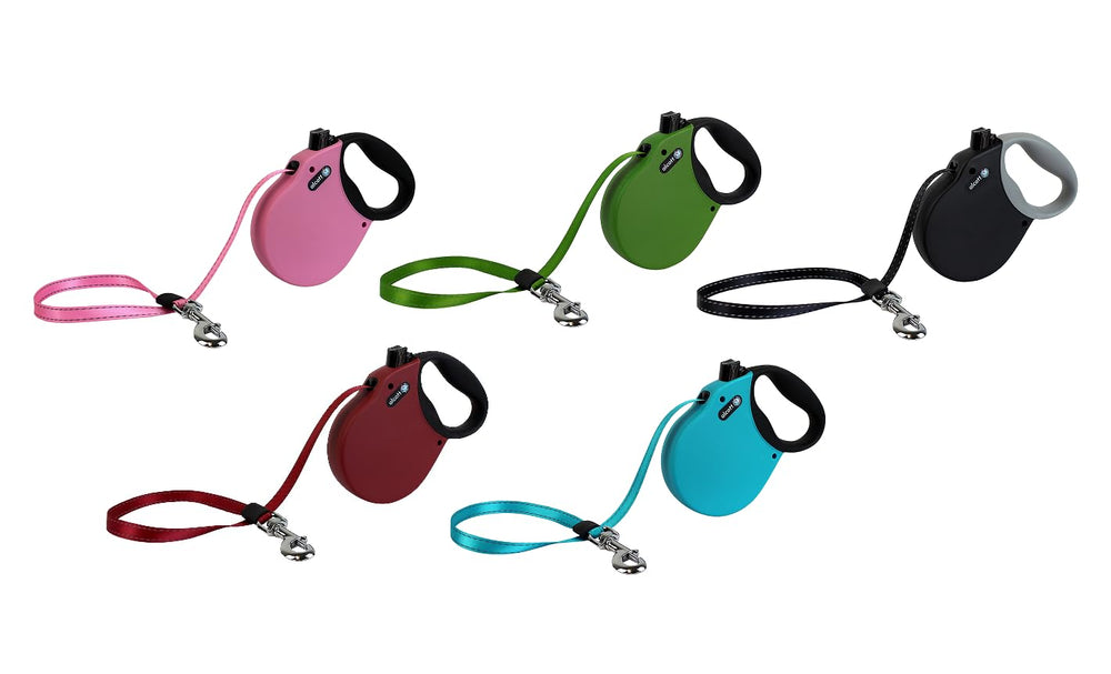 Alcott Adventure 16-foot retractable leash giving ample room for exploration while staying close