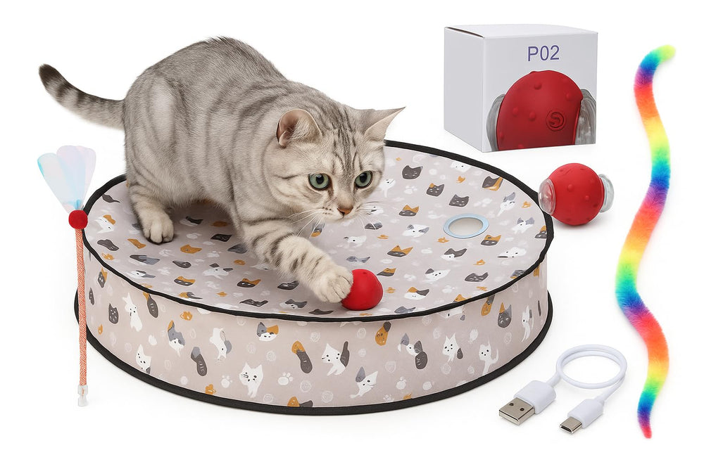 Aleena interactive cat toy rolling ball in 28 inch mat promotes active indoor play
