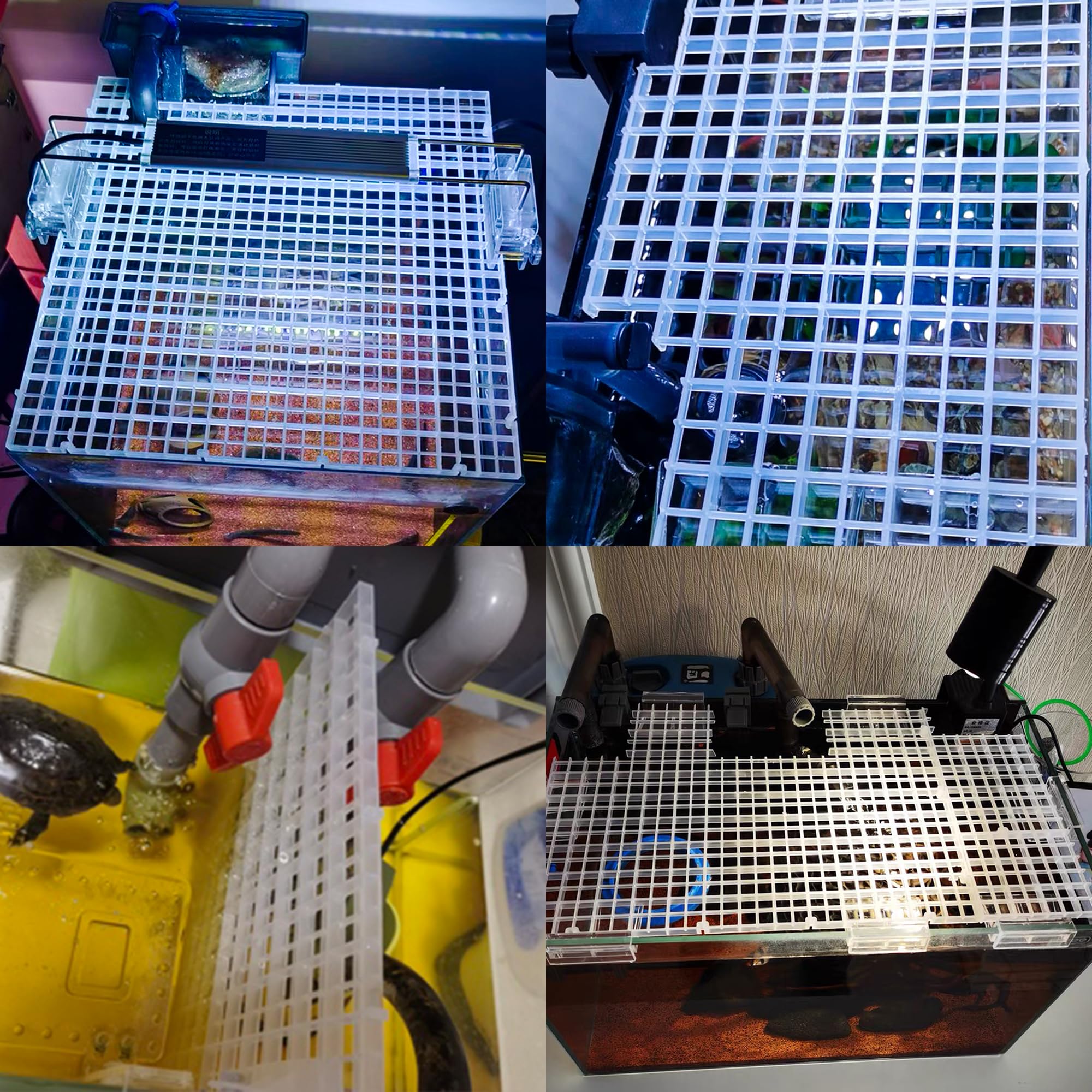 ALEGI turtle-drying-platform usage suggests versatile aqua-tank utility beyond fish isolation.