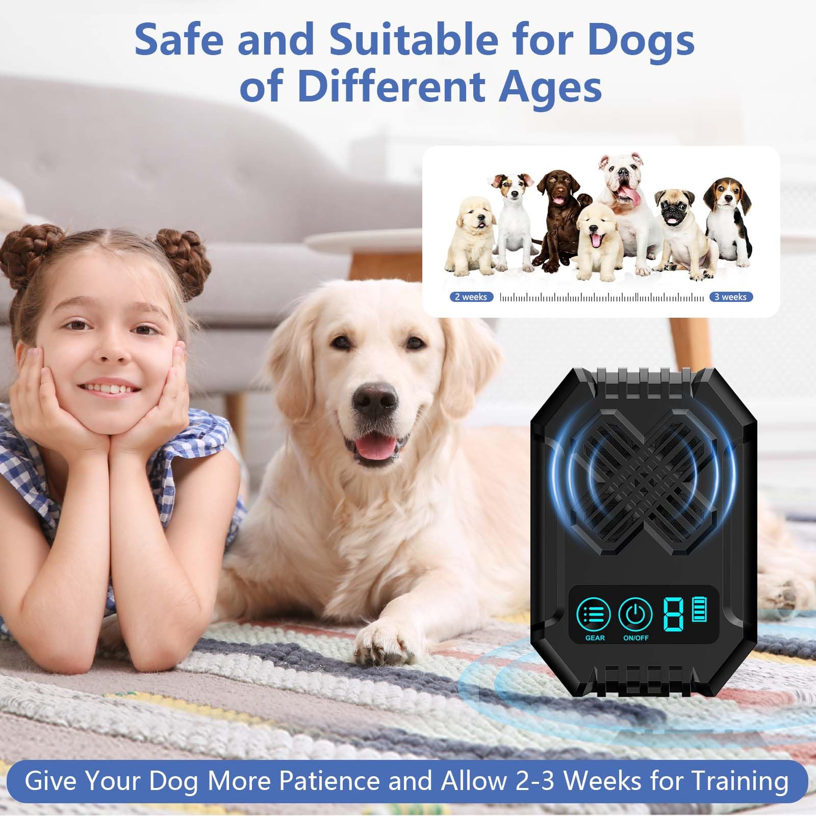 ALEVALBAR dog-training scene shows humane deterrent during practice sessions.