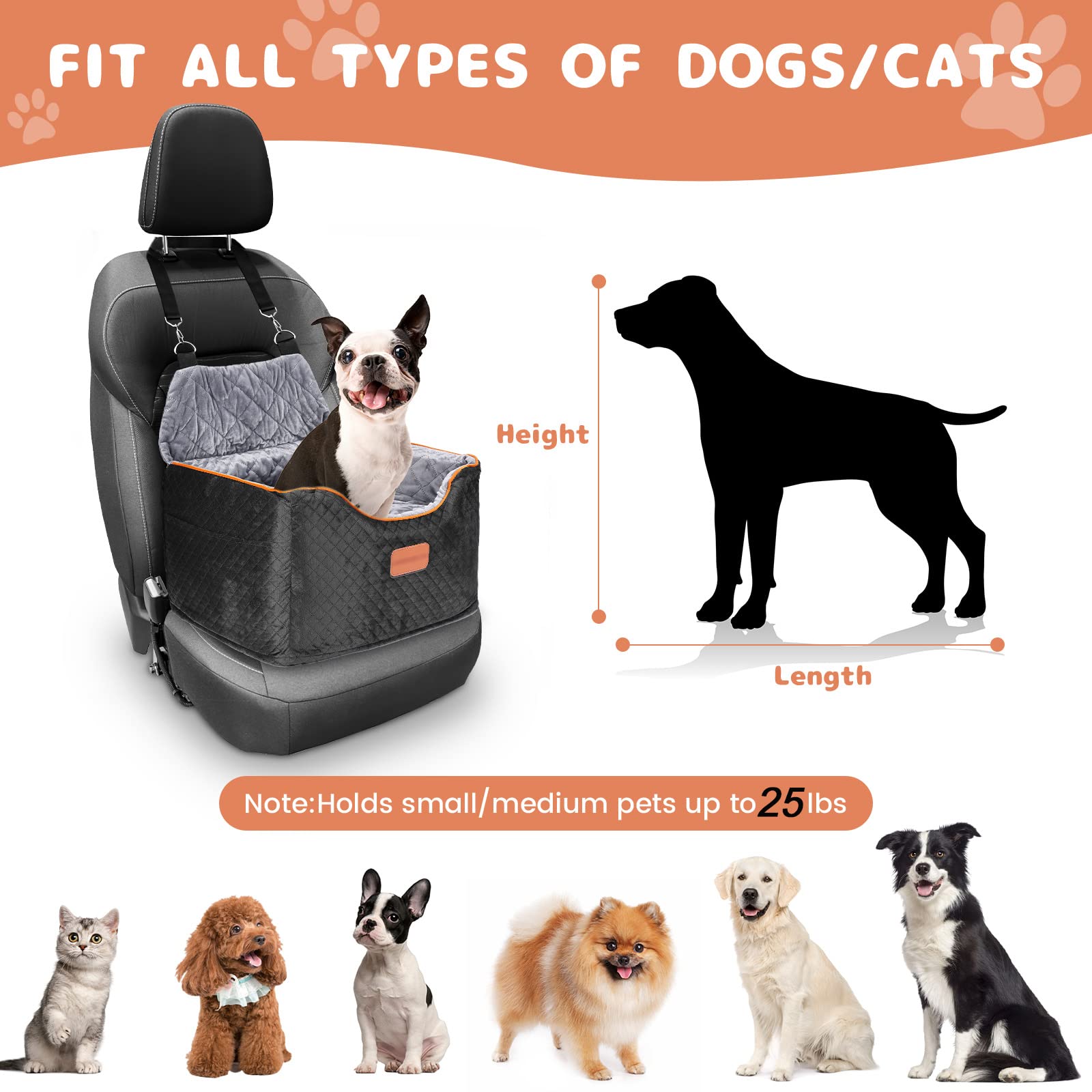 Storage pockets hold snacks and small essentials for AlfaTok booster